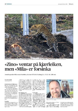 hallingdolen-20260221_000_00_00_018.pdf