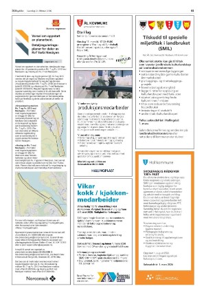 hallingdolen-20260221_000_00_00_041.pdf