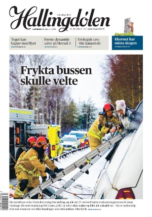 hallingdolen-20260228_000_00_00_001.jpg