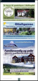 hallingdolen_bilag-20090602_000_00_00_078.pdf
