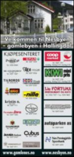 hallingdolen_bilag-20090602_000_00_00_079.pdf