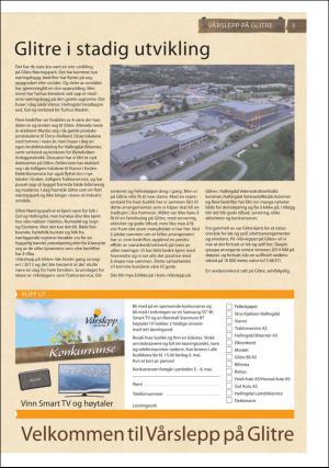 hallingdolen_bilag-20170502_000_00_00_003.pdf
