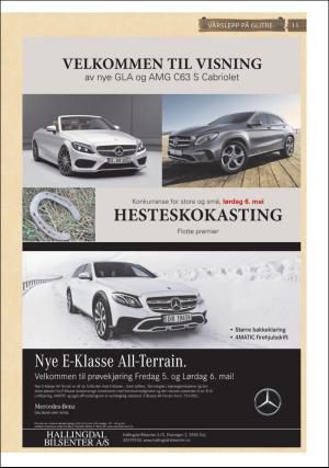hallingdolen_bilag-20170502_000_00_00_011.pdf