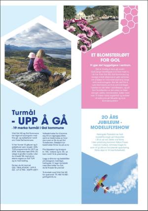 hallingdolen_bilag-20170711_000_00_00_005.pdf