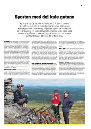 hallingdolen_bilag-20170715_000_00_00_003.pdf