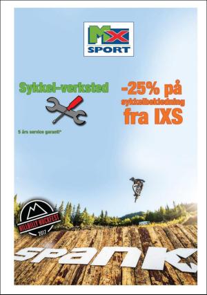 hallingdolen_bilag-20170715_000_00_00_008.pdf