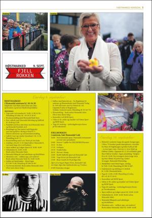 hallingdolen_bilag-20170907_000_00_00_003.pdf