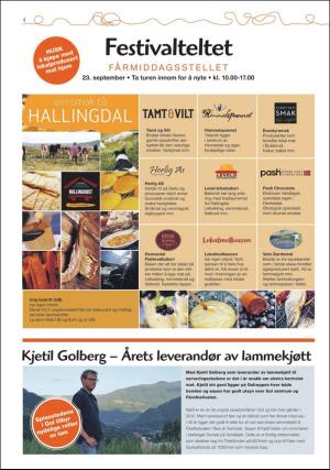 hallingdolen_bilag-20170919_000_00_00_004.pdf