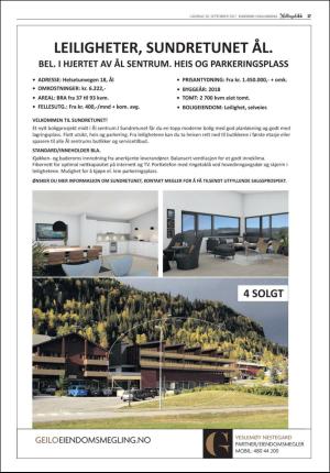 hallingdolen_bilag-20170930_000_00_00_017.pdf