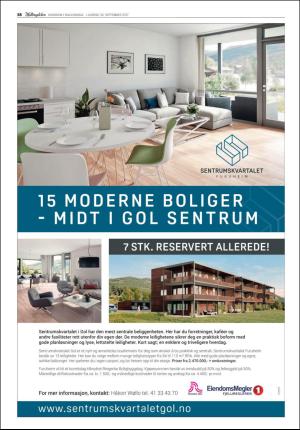 hallingdolen_bilag-20170930_000_00_00_058.pdf