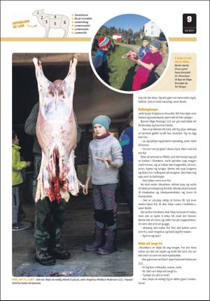hallingdolen_bilag-20171104_000_00_00_009.pdf