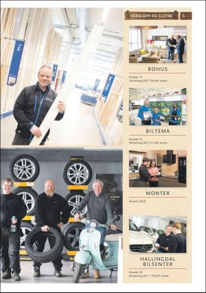 hallingdolen_bilag-20180426_000_00_00_005.pdf