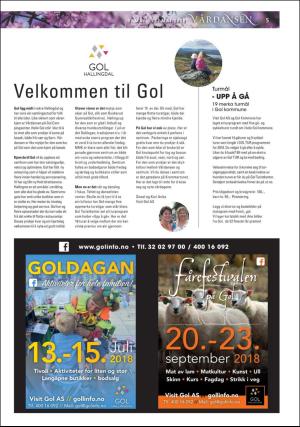hallingdolen_bilag-20180508_000_00_00_005.pdf