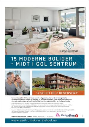 hallingdolen_bilag-20180609_000_00_00_024.pdf