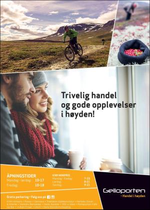 hallingdolen_bilag-20181002_000_00_00_005.pdf