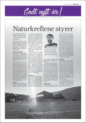 hallingdolen_bilag-20181229_000_00_00_003.pdf