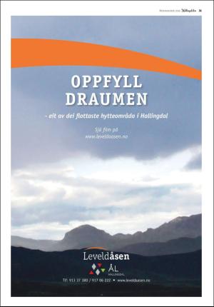 hallingdolen_bilag-20181229_000_00_00_031.pdf