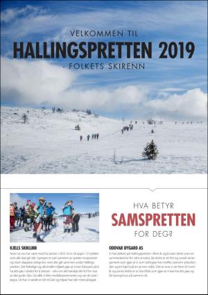 hallingdolen_bilag-20190312_000_00_00_002.pdf