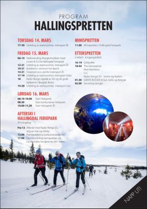 hallingdolen_bilag-20190312_000_00_00_009.pdf
