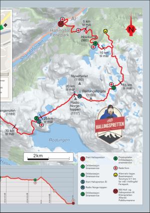 hallingdolen_bilag-20190312_000_00_00_011.pdf
