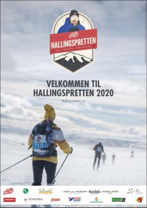 hallingdolen_bilag-20190312_000_00_00_020.pdf