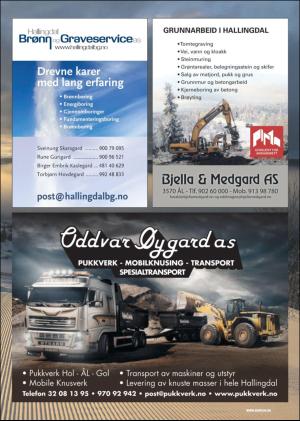 hallingdolen_bilag-20190413_000_00_00_009.pdf