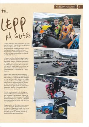 hallingdolen_bilag-20190430_000_00_00_005.pdf