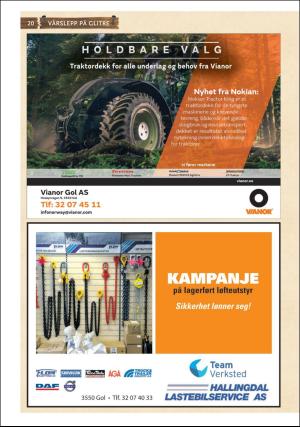hallingdolen_bilag-20190430_000_00_00_020.pdf