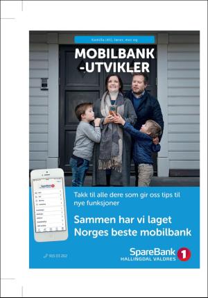 hallingdolen_bilag-20190815_000_00_00_016.pdf