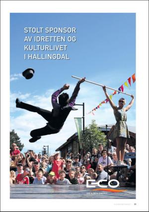 hallingdolen_bilag-20190817_000_00_00_011.pdf