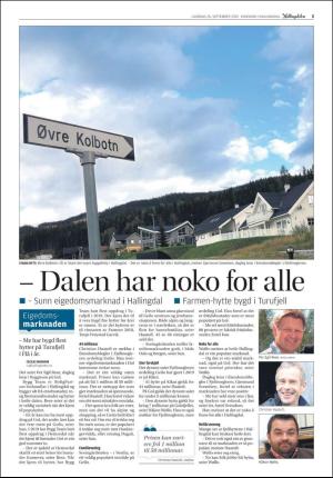 hallingdolen_bilag-20190928_000_00_00_003.pdf