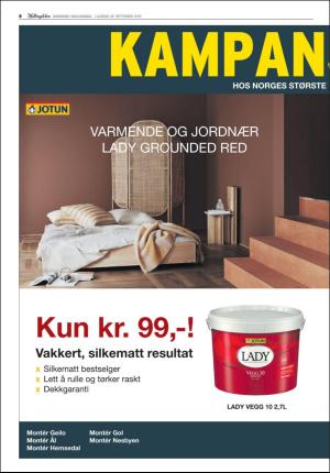 hallingdolen_bilag-20190928_000_00_00_008.pdf
