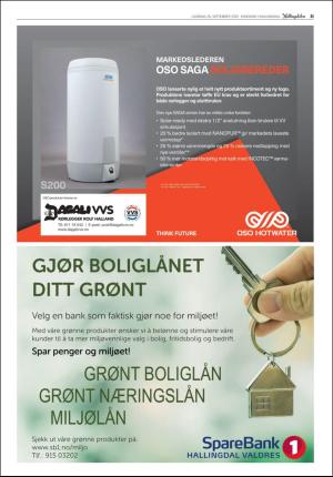 hallingdolen_bilag-20190928_000_00_00_021.pdf