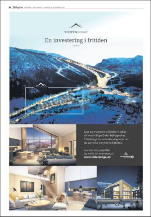 hallingdolen_bilag-20190928_000_00_00_034.pdf