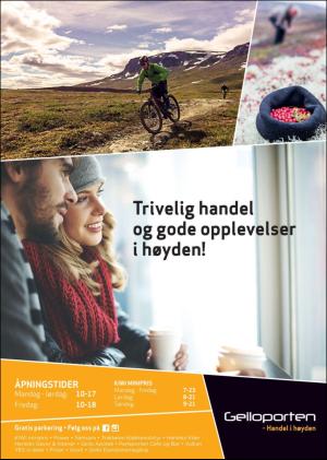 hallingdolen_bilag-20191001_000_00_00_011.pdf