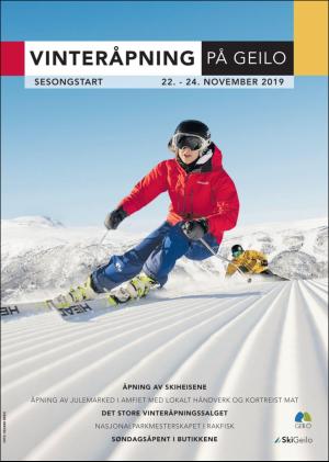 Hallingdølen Bilag 19.11.19