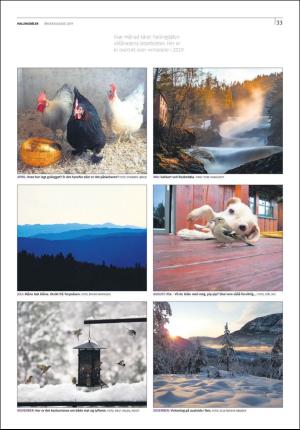 hallingdolen_bilag-20191231_000_00_00_033.pdf
