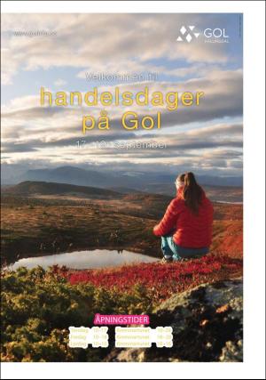 Hallingdølen Bilag 17.09.20