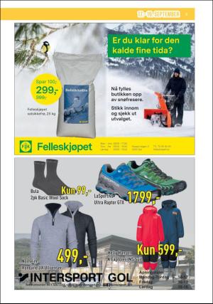 hallingdolen_bilag-20200917_000_00_00_009.pdf