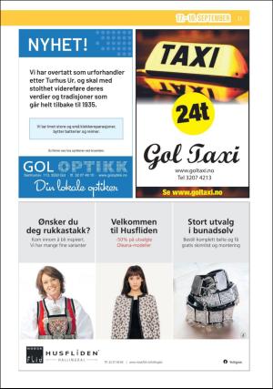 hallingdolen_bilag-20200917_000_00_00_011.pdf