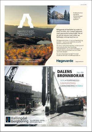 hallingdolen_bilag-20200926_000_00_00_035.pdf