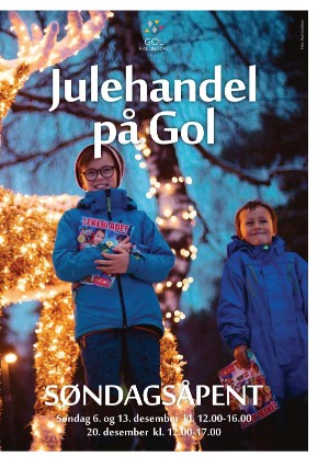 Hallingdølen Bilag 03.12.20