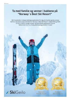 hallingdolen_bilag-20201231_000_00_00_002.pdf