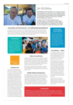 hallingdolen_bilag-20201231_000_00_00_017.pdf