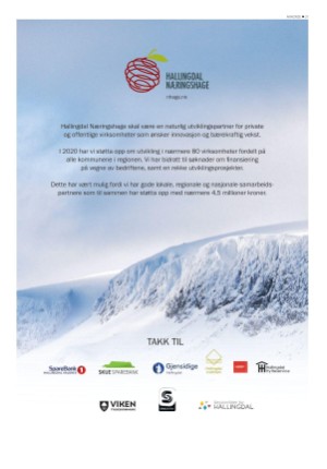 hallingdolen_bilag-20201231_000_00_00_031.pdf