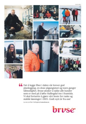 hallingdolen_bilag-20201231_000_00_00_035.pdf