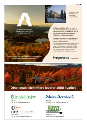 hallingdolen_bilag-20211002_000_00_00_015.pdf