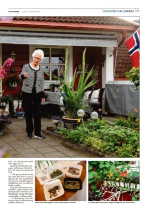 hallingdolen_bilag-20211002_000_00_00_023.pdf