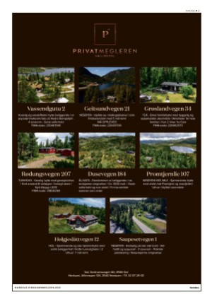 hallingdolen_bilag-20211002_000_00_00_027.pdf