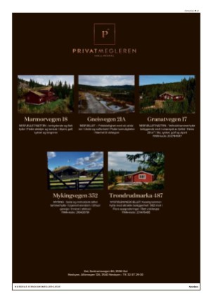 hallingdolen_bilag-20211002_000_00_00_029.pdf